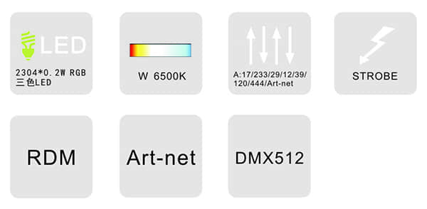 D6-MS 2.jpg